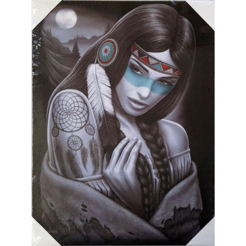 DREAMCATCHER - Small Canvas Art - 12" X 16"