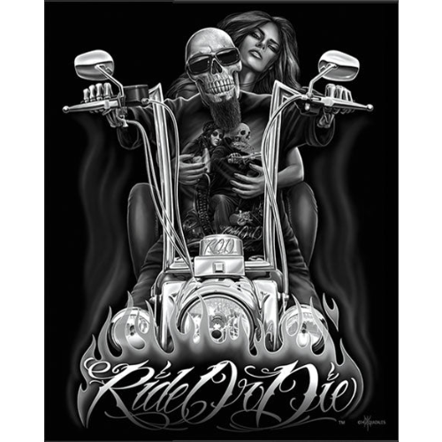 ROD - My Old Lady - Canvas Speaker 20 x 16